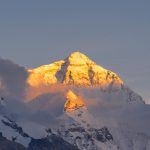 Gin57777的头像交易的工具|外汇EA|外汇论坛|MT4指标|MT5软件|EA源码|MQL编程|跟单系统|马丁格尔|狼行天下|财经东北路|ctrader|蜡烛图技术|外汇知识|自动化交易1mt5